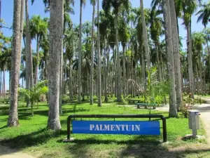 Palmentuin