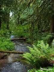 Rainbow Falls State Park