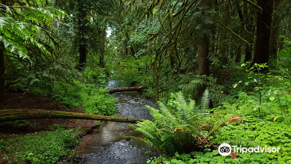 Rainbow Falls State Park