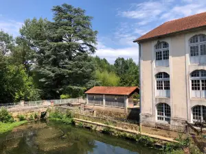 Mill and the Barge Duellas