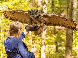 Carolina Raptor Center