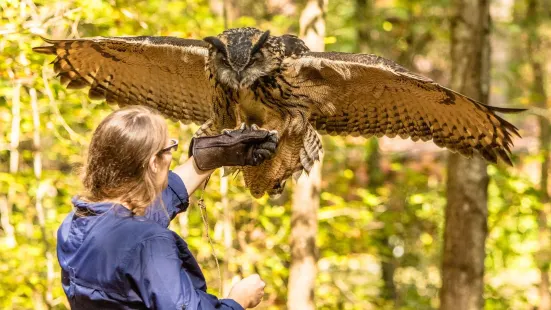 Carolina Raptor Center