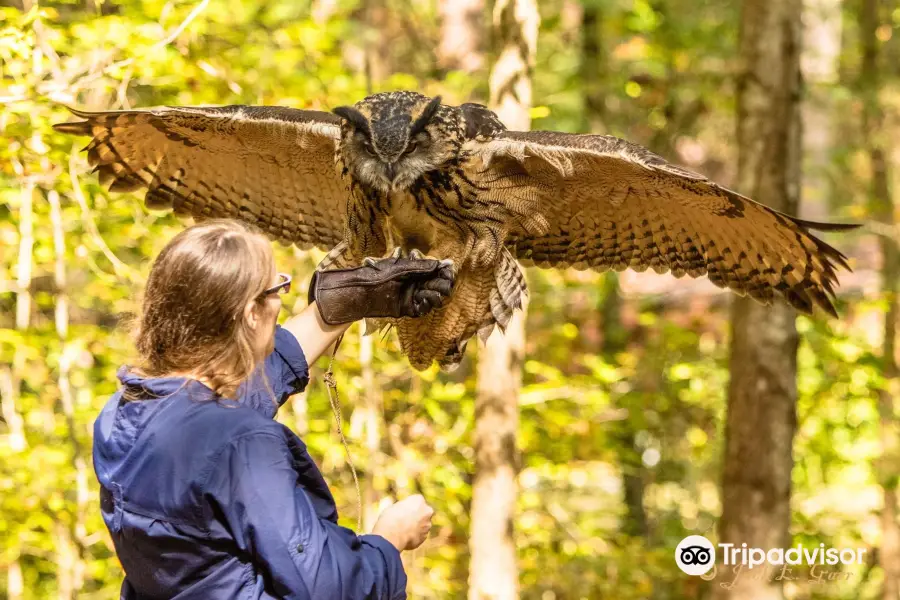 Carolina Raptor Center