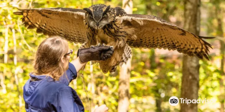 Carolina Raptor Center