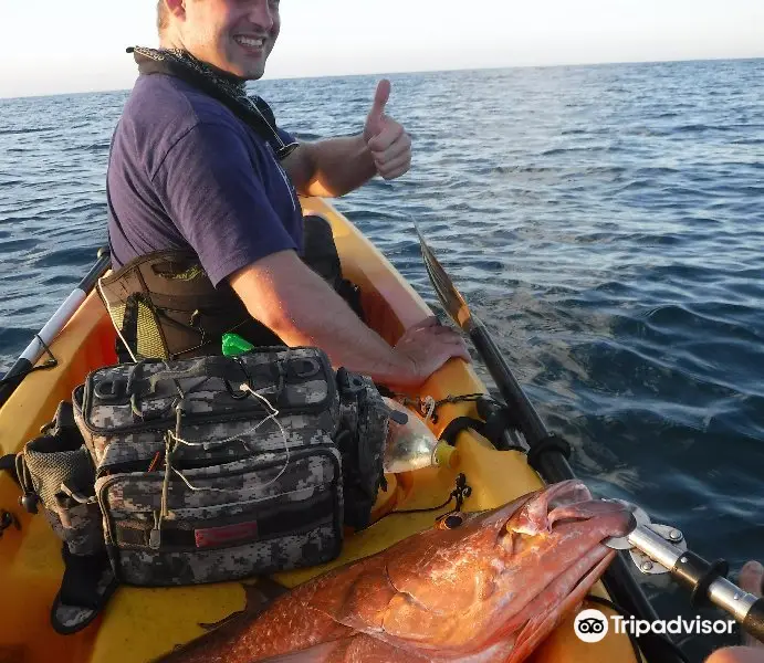 Sea Kayak Adventures Photos, Map & Reviews [2024]