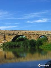 Ponte Romano sul fiume Rio Mannu