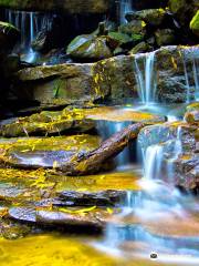 Somersby Falls Picnic Grounds