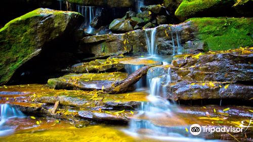 Somersby Falls Picnic Grounds