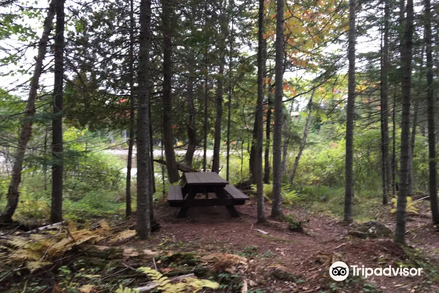 Bonney Point Trail