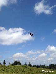 Flying Fox at The Forest