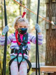 WildPlay Element Parks Nanaimo