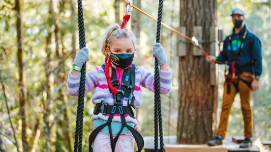 WildPlay Element Parks Nanaimo