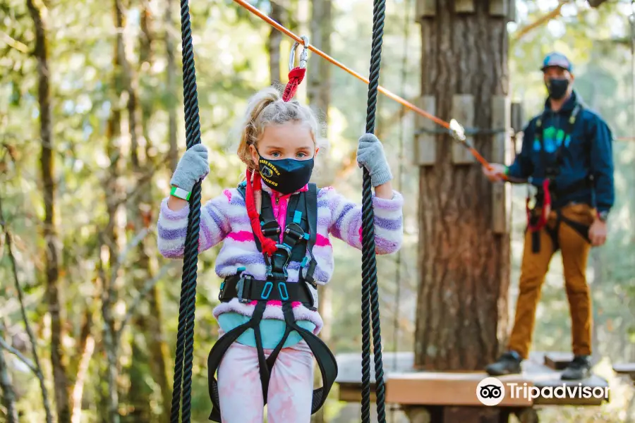 WildPlay Nanaimo