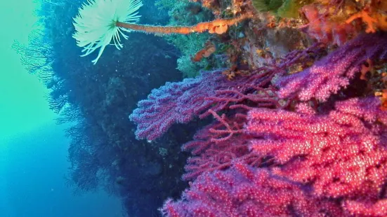 Corsica Diving Center