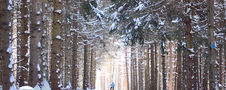 Rikert Outdoor Center