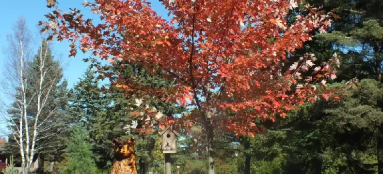 Hoteles en Pickering