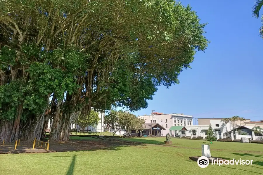 Kalakaua Park