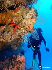 Diving Center Venus