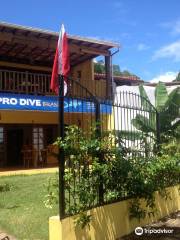 Pro Dive Brasil