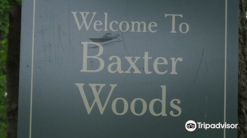 Mayor Baxter Woods