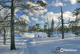 Femundsmarka National Park