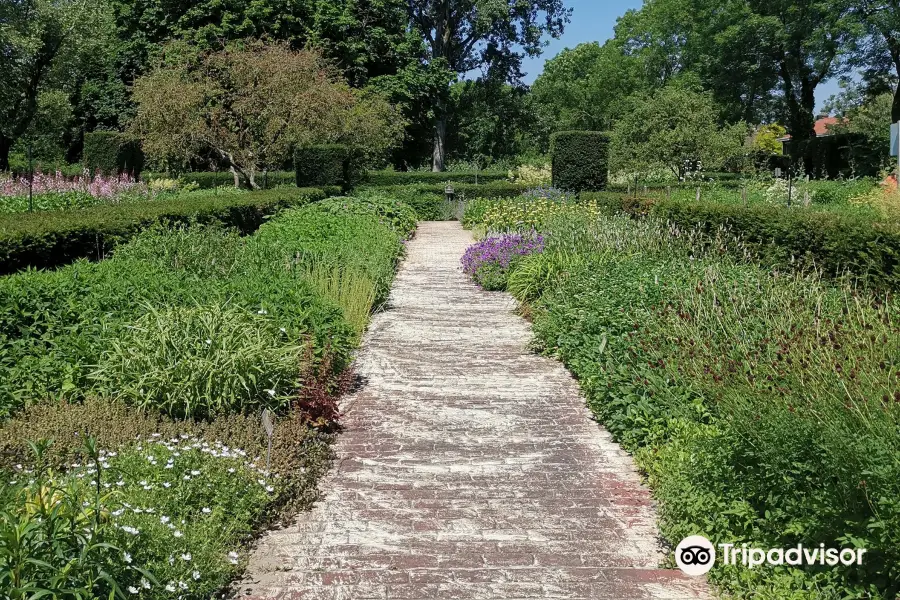 Bloementuin Darwinplantsoen