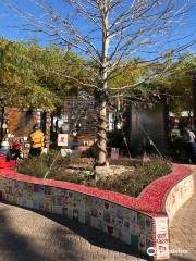 Las Vegas Community Healing Garden