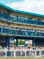 Newton Abbot Races Ltd