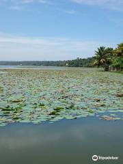 Vellayani Lake