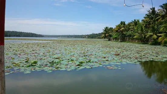 ベラヤニ湖