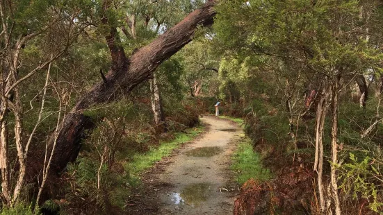 Woodlot Lane Nature Reserve