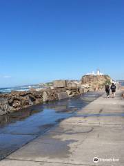 Nobbys Head and Breakwall