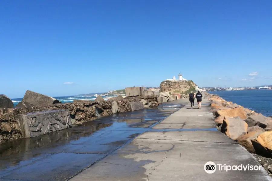 Nobbys Head and Breakwall