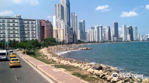 Citysightseeing Cartagena