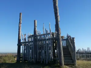 Otatara Pā Historic Reserve Walk