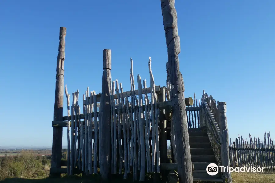 Otatara Pā Historic Reserve Walk