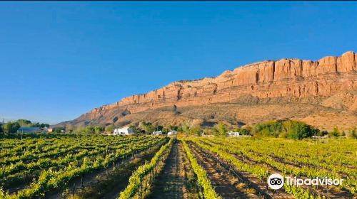 Spanish Valley Vineyard & Winery