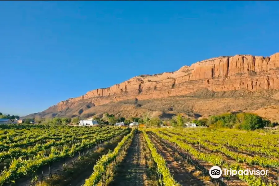 Spanish Valley Vineyard & Winery