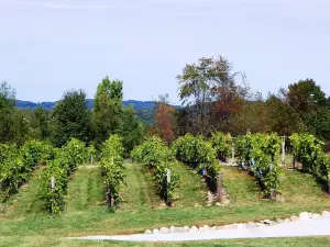 Oceana Winery and Vineyard