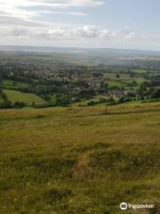 Selsley Common