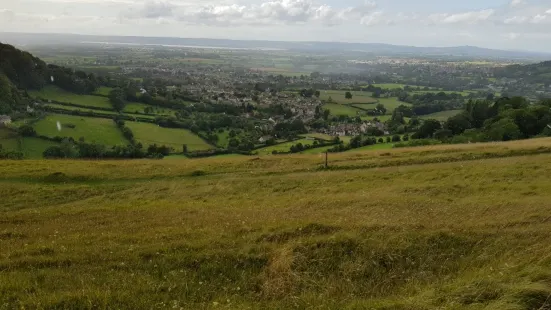 Selsley Common