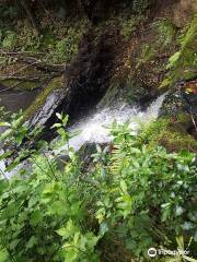 Pohuehue Waterfalls