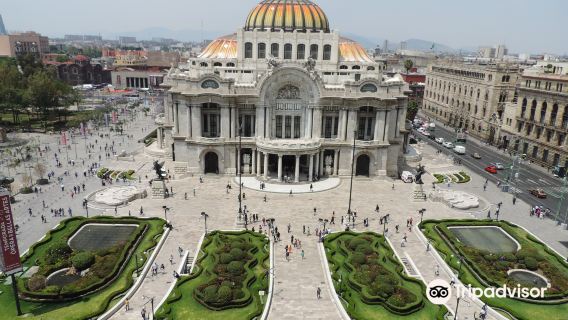 Mexico CityTours