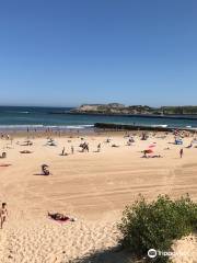 Playa de la Concha