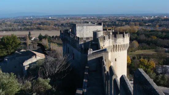 Fort Saint-Andre