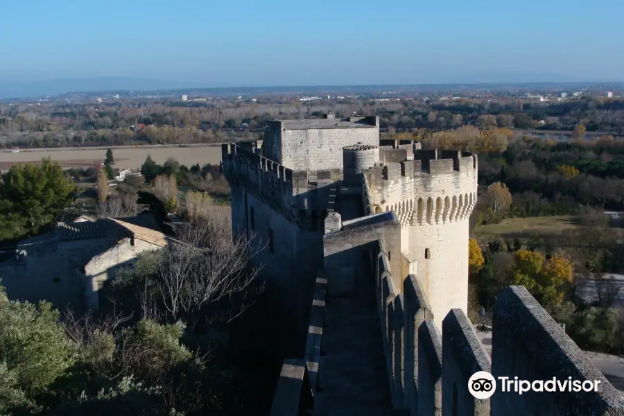 Fort Saint-Andre