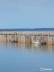 Belliveau Cove Lighthouse