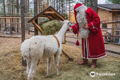Tallitontun Piha Santa's Pets