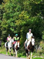 Kinsale Equestrian Centre