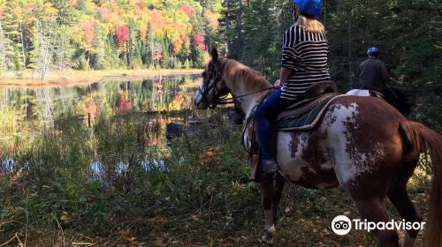 South Algonquin Trails